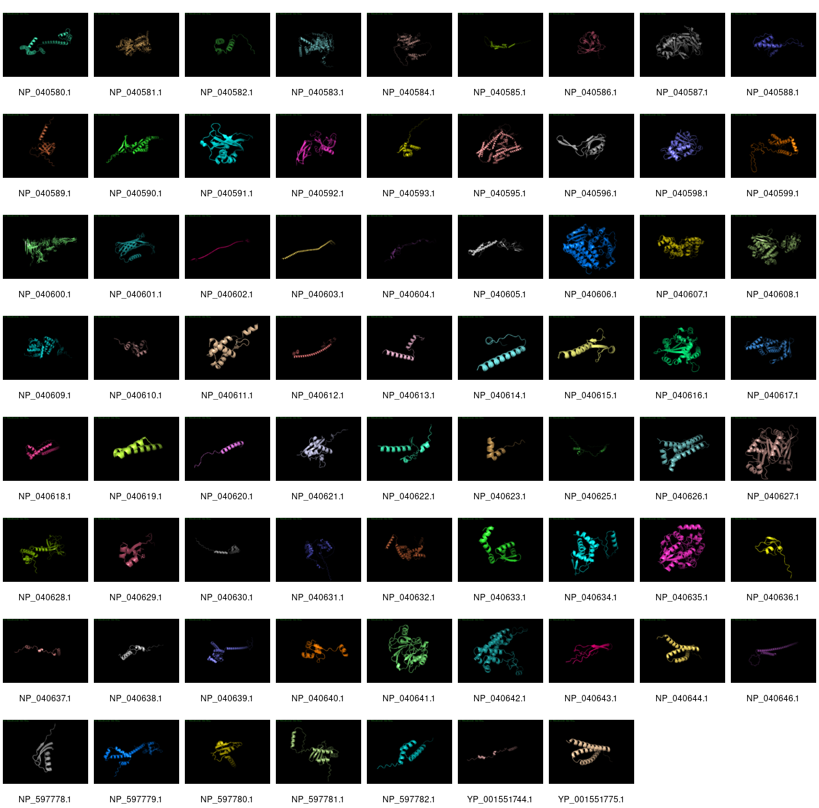Structures of all phage λ proteins